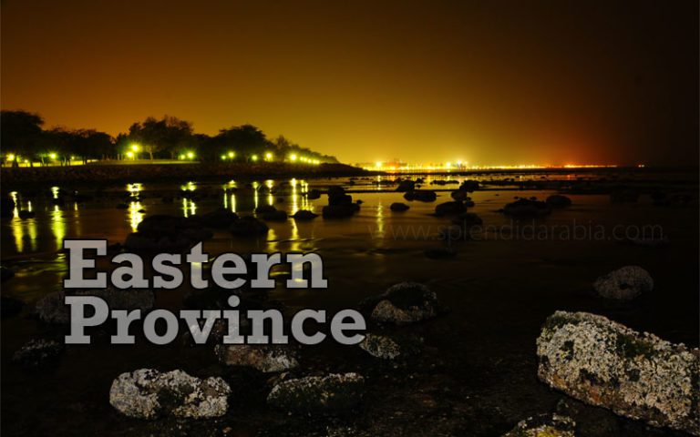 EASTERN PROVINCE SAUDI ARABIA visual data 8