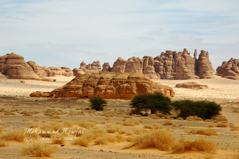 Madain Salih Landscape