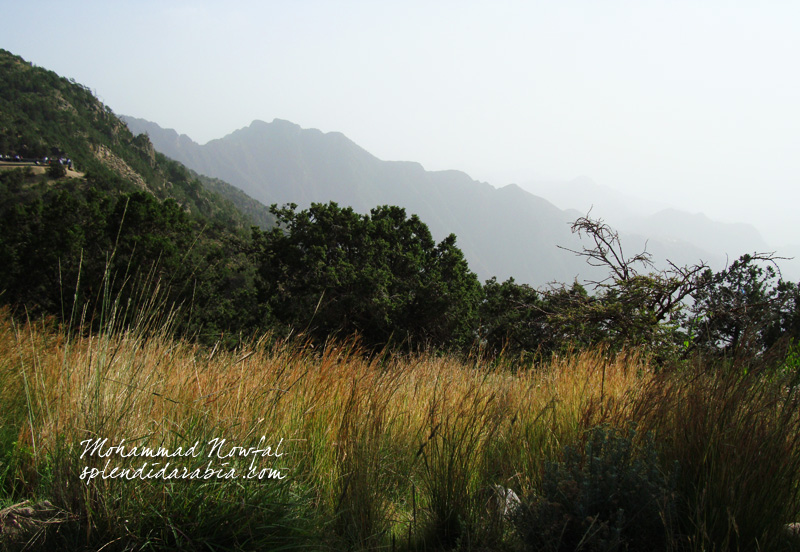 Asir National Park