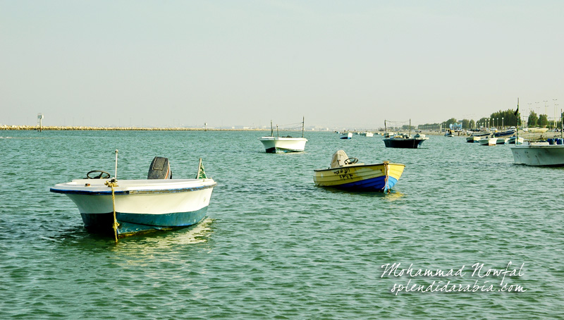 boats in arabian gulf