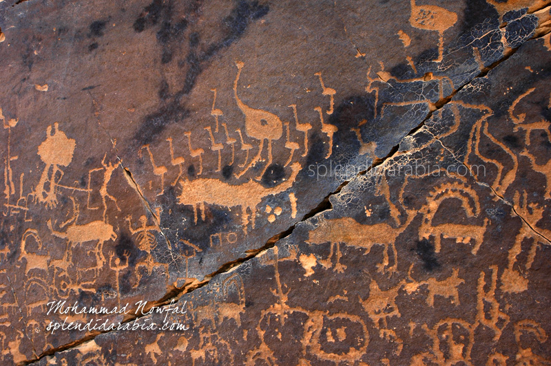 canvas-of-petroglyphs