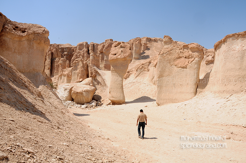 qarah landscape