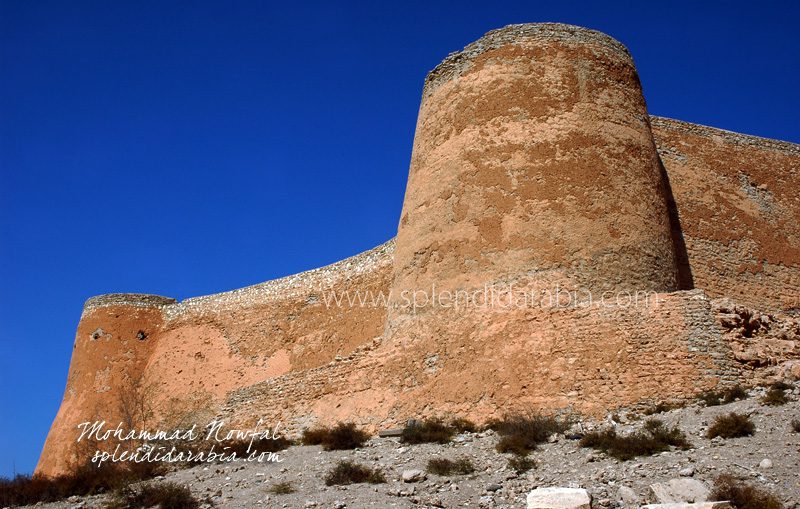 tarout fort