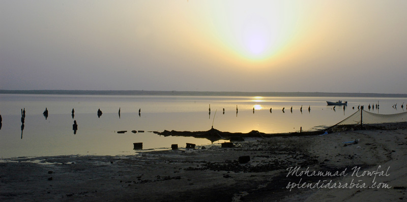 farasan-coast