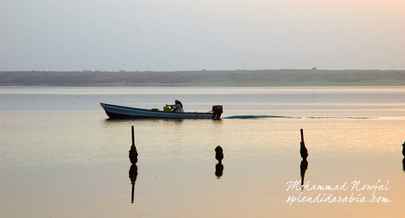 farasan-coast2