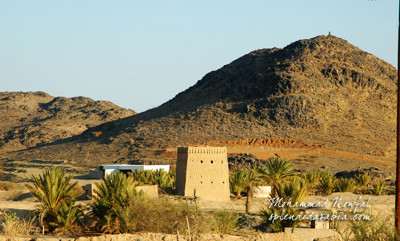 bisha landscape