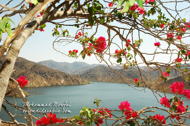 King Fahad Dam