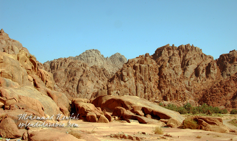 shammar mountains