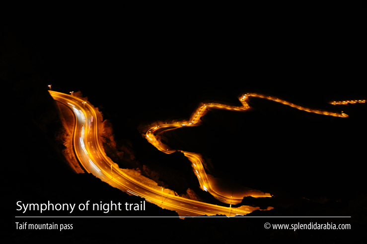 Night trail